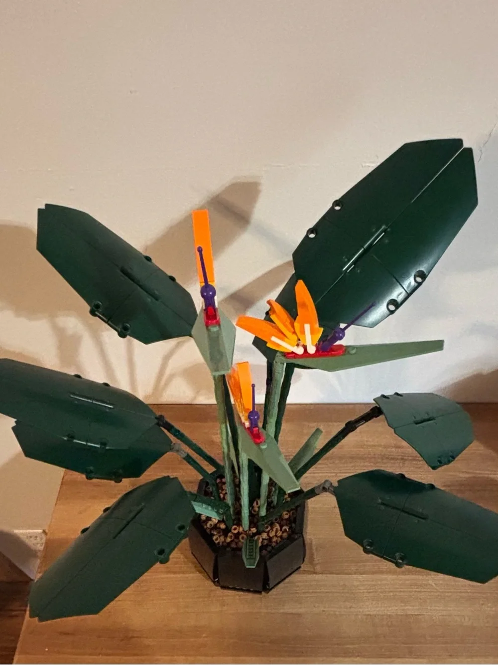 LEGO Botanicals Bird of Paradise 10289 Retired Set
